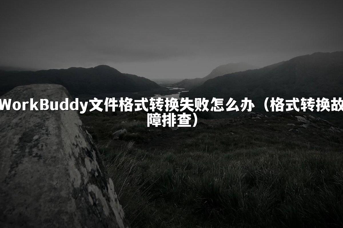 WorkBuddy文件格式转换失败怎么办(格式转换故障排查)