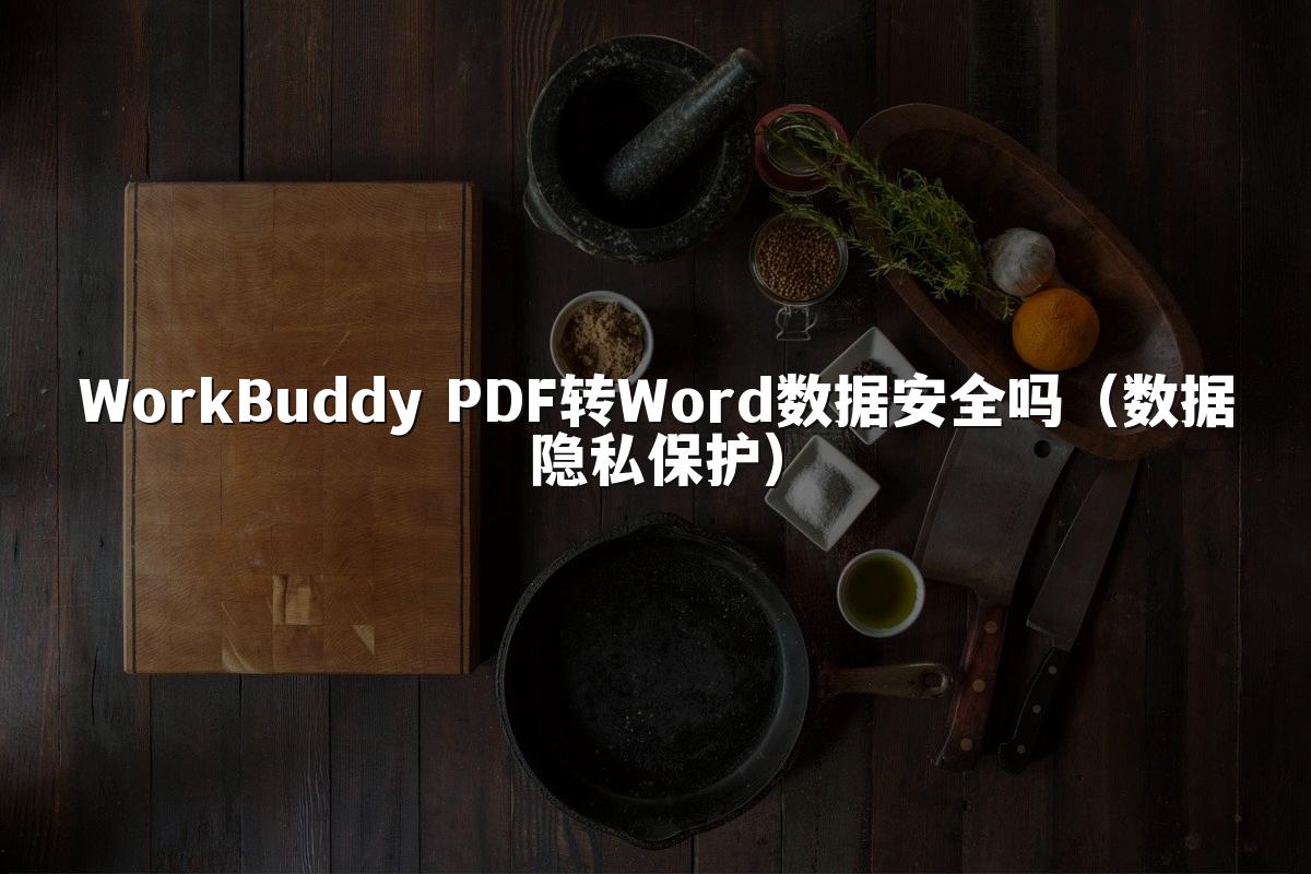 WorkBuddy PDF转Word数据安全吗（数据隐私保护）