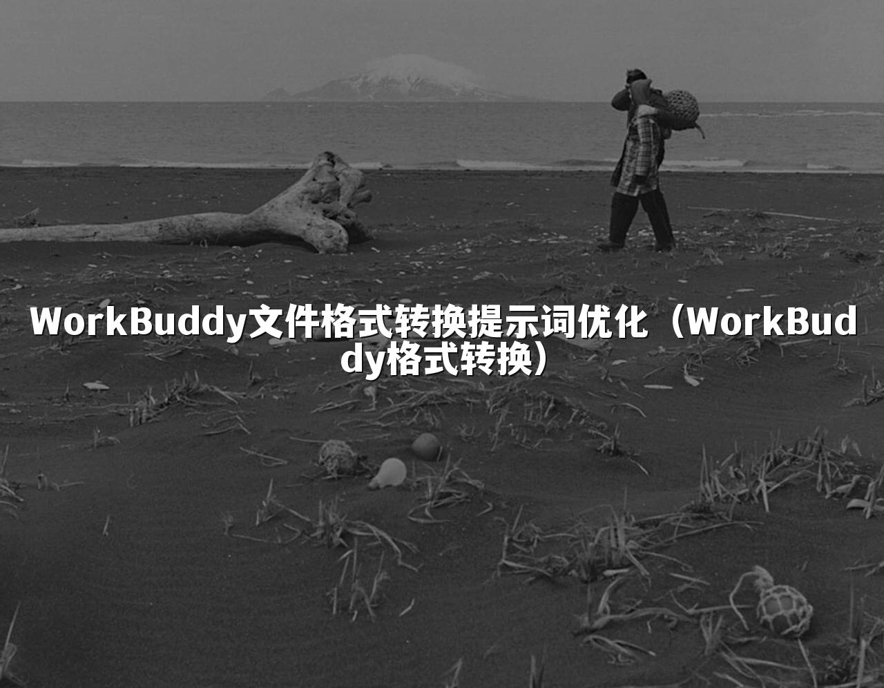 WorkBuddy文件格式转换提示词优化（WorkBuddy格式转换）