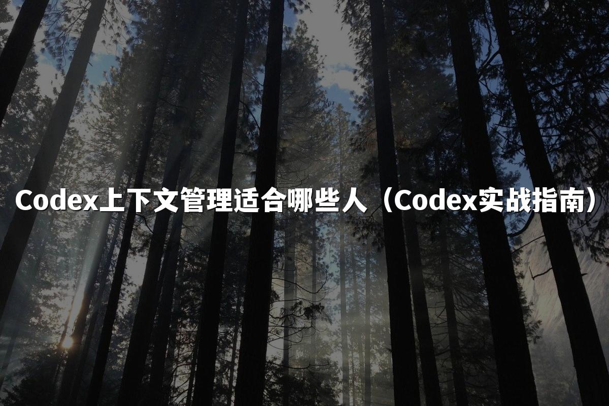 Codex上下文管理适合哪些人（Codex实战指南）