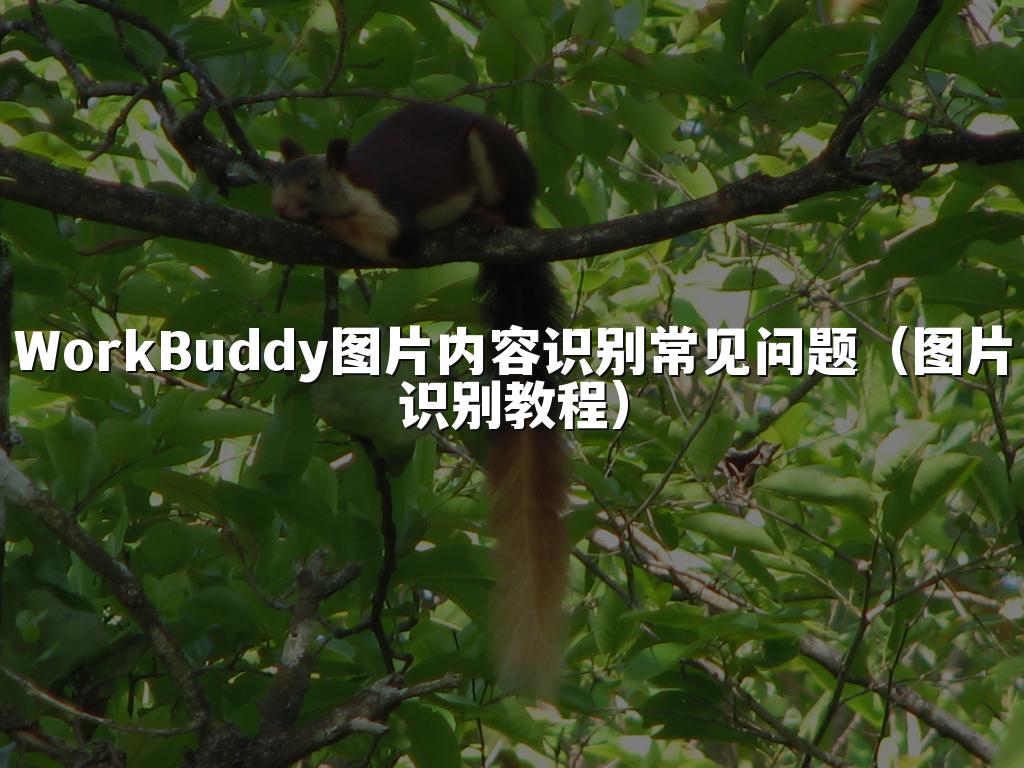 WorkBuddy图片内容识别常见问题(图片识别教程)