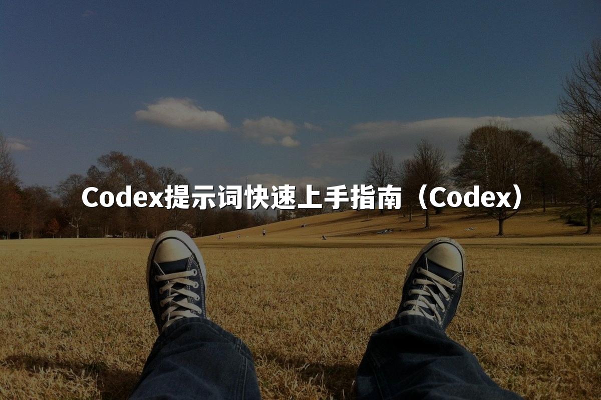 Codex提示词快速上手指南(Codex)