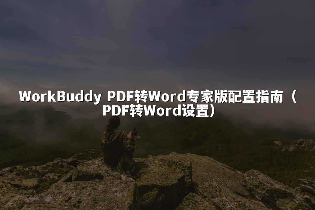 WorkBuddy PDF转Word专家版配置指南(PDF转Word设置)