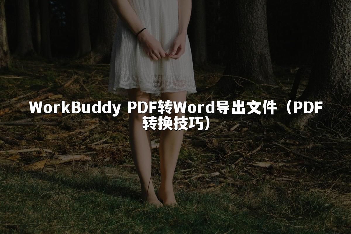 WorkBuddy PDF转Word导出文件(PDF转换技巧)