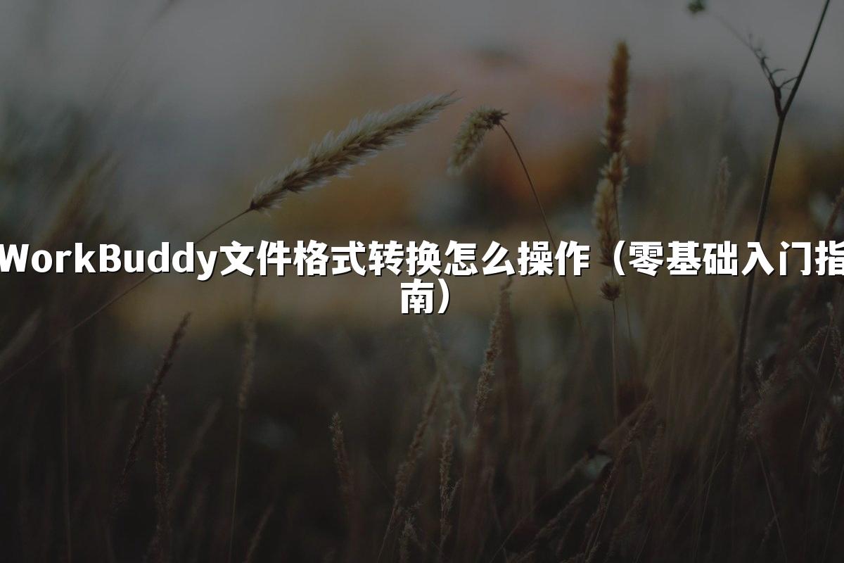 WorkBuddy文件格式转换怎么操作（零基础入门指南）