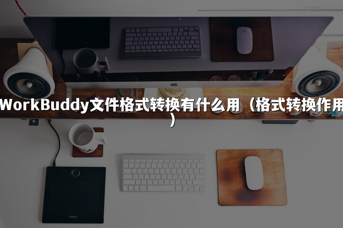 WorkBuddy文件格式转换有什么用（格式转换作用）
