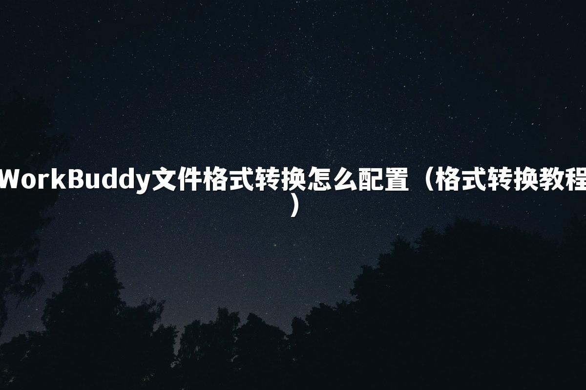 WorkBuddy文件格式转换怎么配置(格式转换教程)