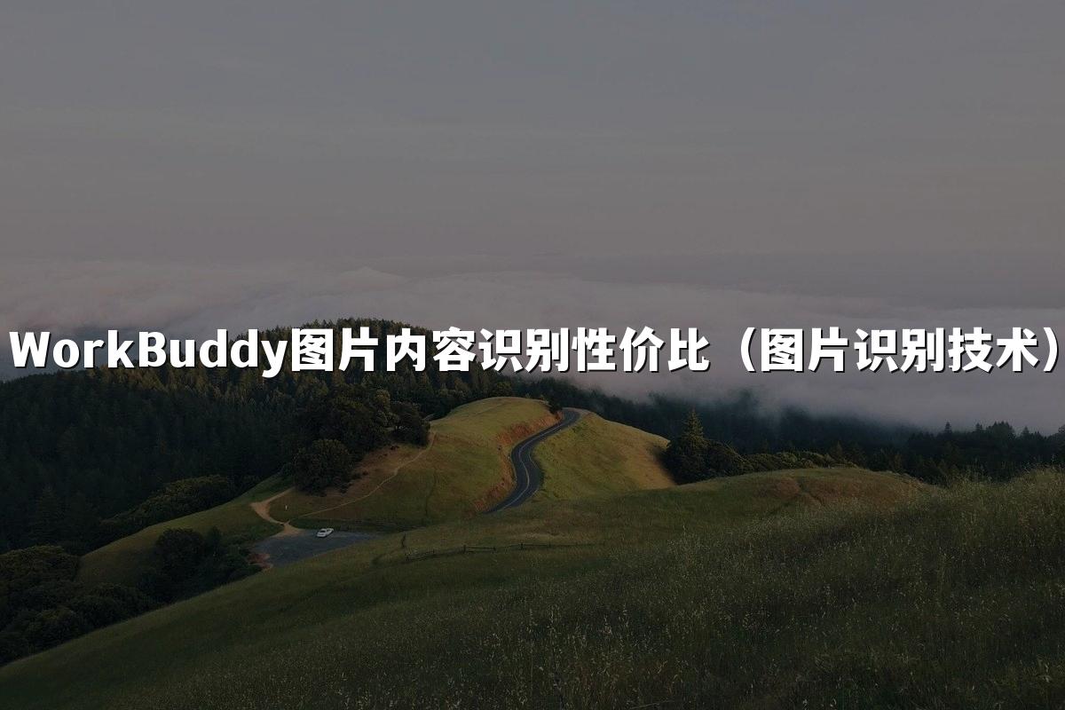 WorkBuddy图片内容识别性价比(图片识别技术)