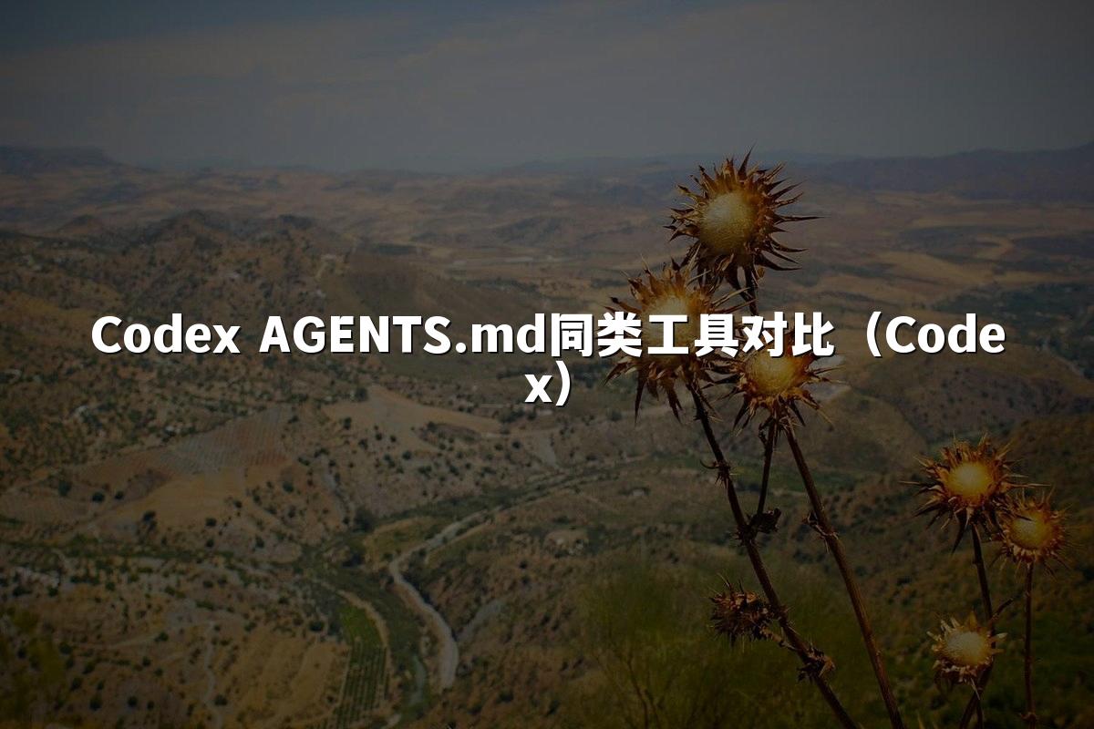 Codex AGENTS.md同类工具对比(Codex)