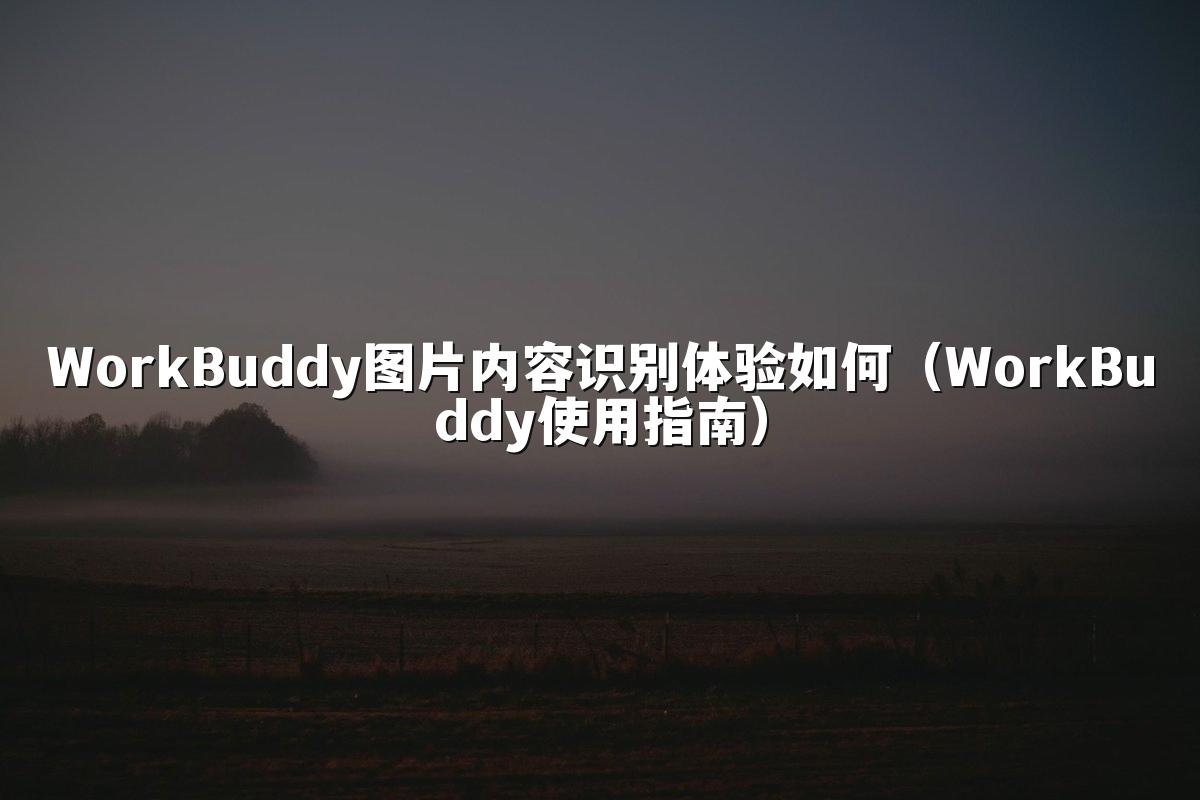 WorkBuddy图片内容识别体验如何(WorkBuddy使用指南)