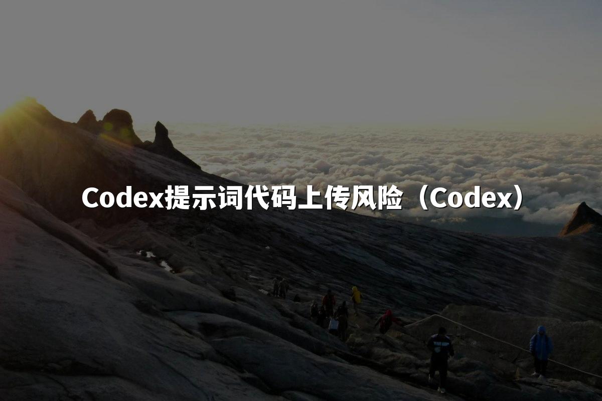 Codex提示词代码上传风险(Codex)