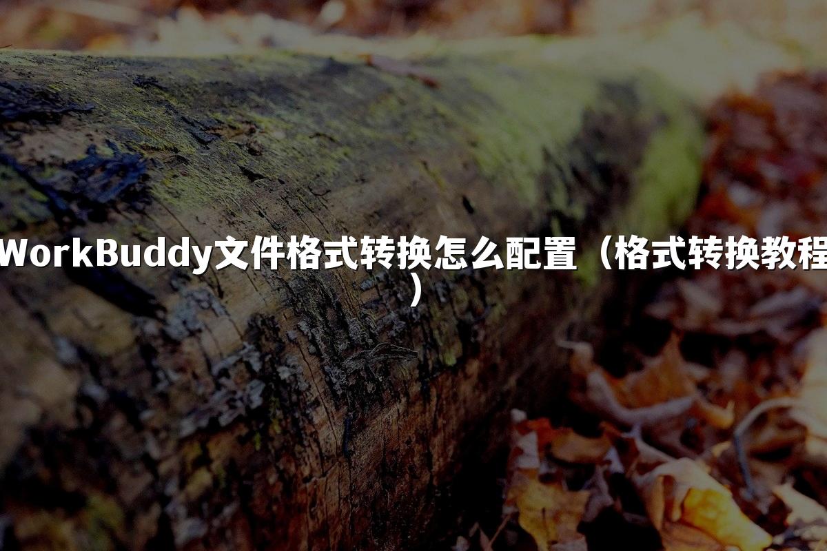 WorkBuddy文件格式转换怎么配置(格式转换教程)