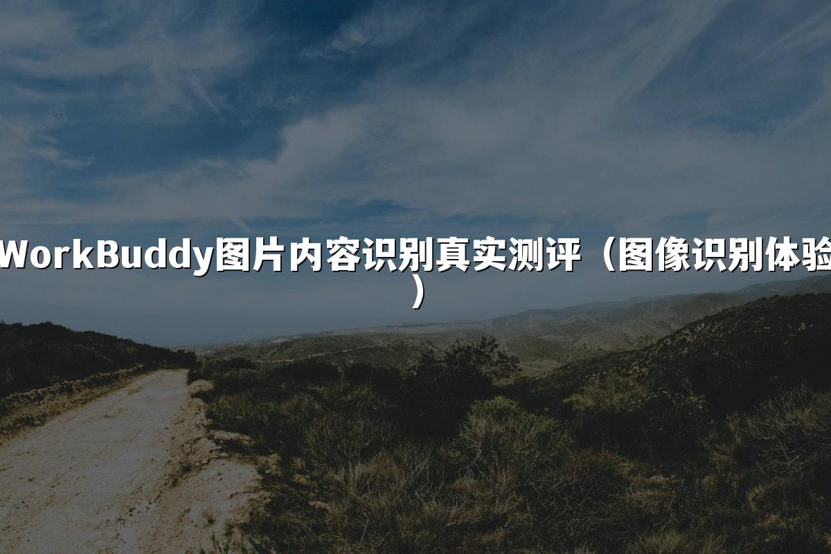 WorkBuddy图片内容识别真实测评(图像识别体验)