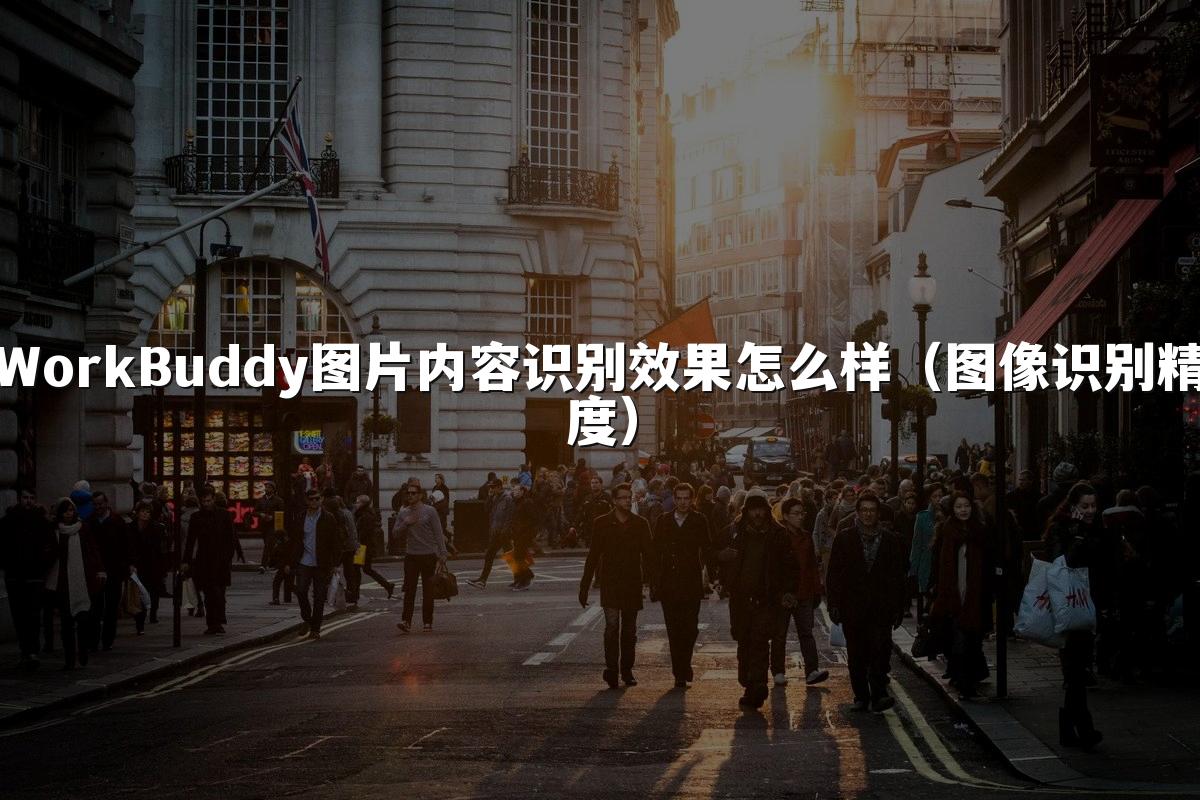 WorkBuddy图片内容识别效果怎么样(图像识别精度)