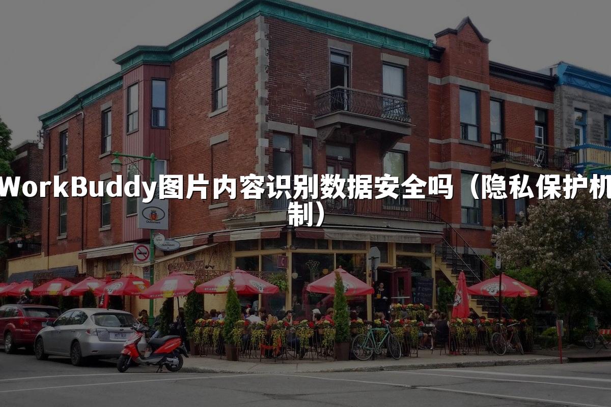 WorkBuddy图片内容识别数据安全吗(隐私保护机制)