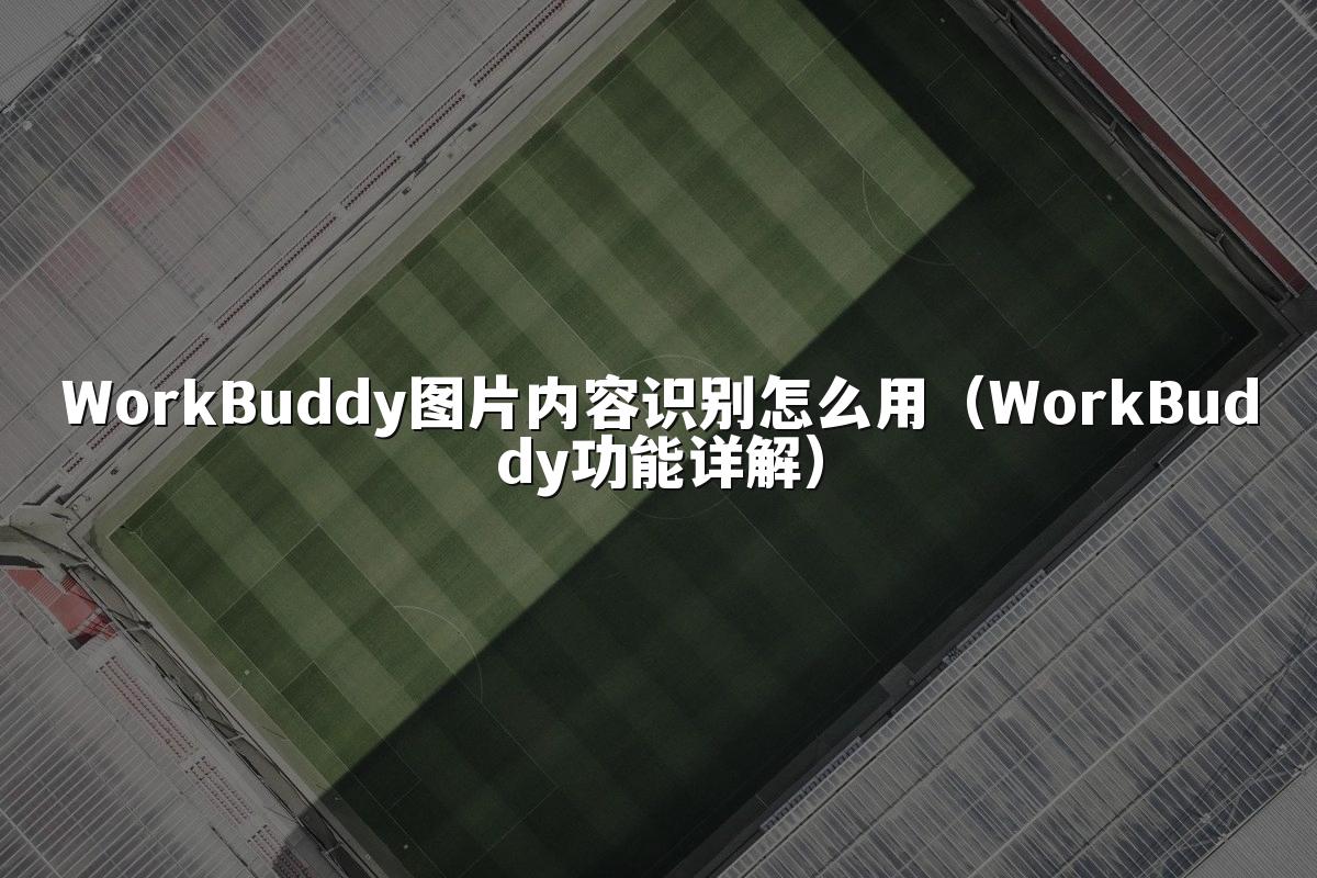 WorkBuddy图片内容识别怎么用(WorkBuddy功能详解)