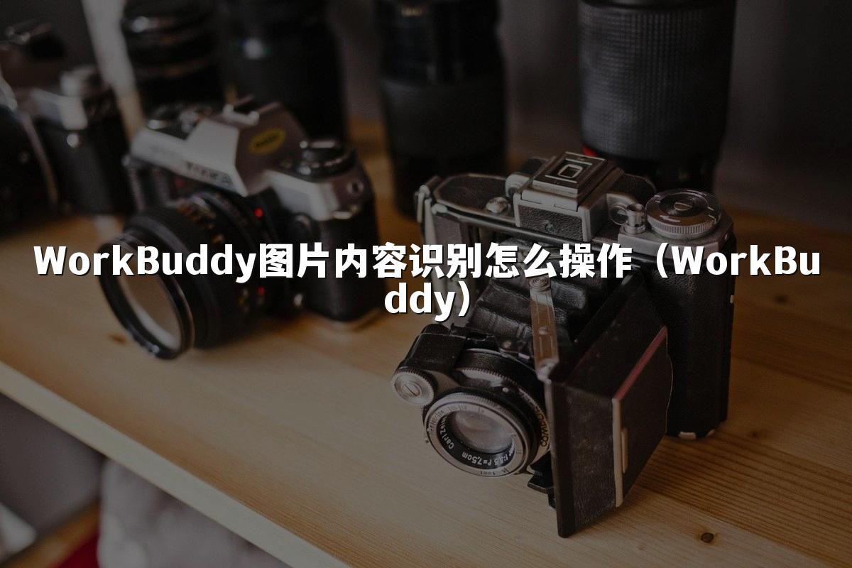WorkBuddy图片内容识别怎么操作（WorkBuddy）