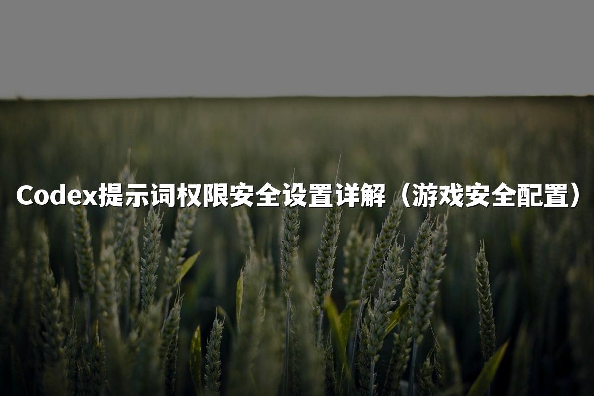 Codex提示词权限安全设置详解（游戏安全配置）