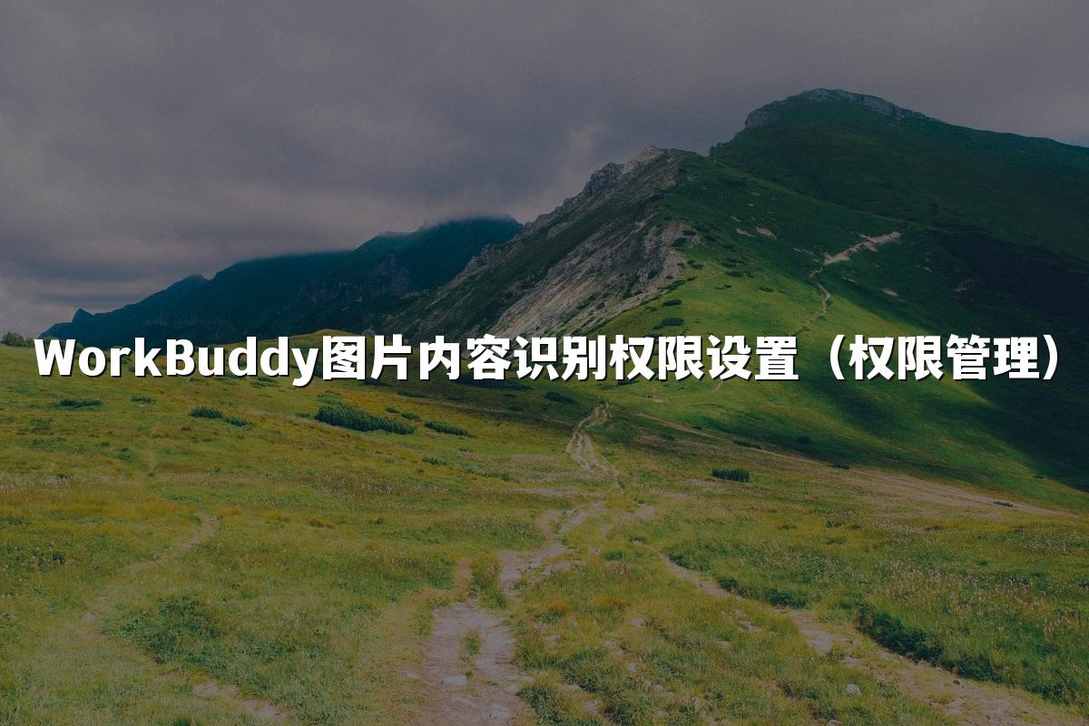 WorkBuddy图片内容识别权限设置(权限管理)