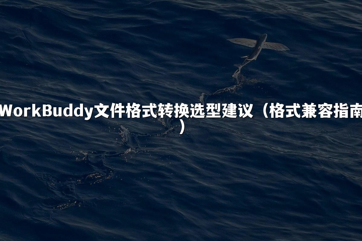 WorkBuddy文件格式转换选型建议(格式兼容指南)