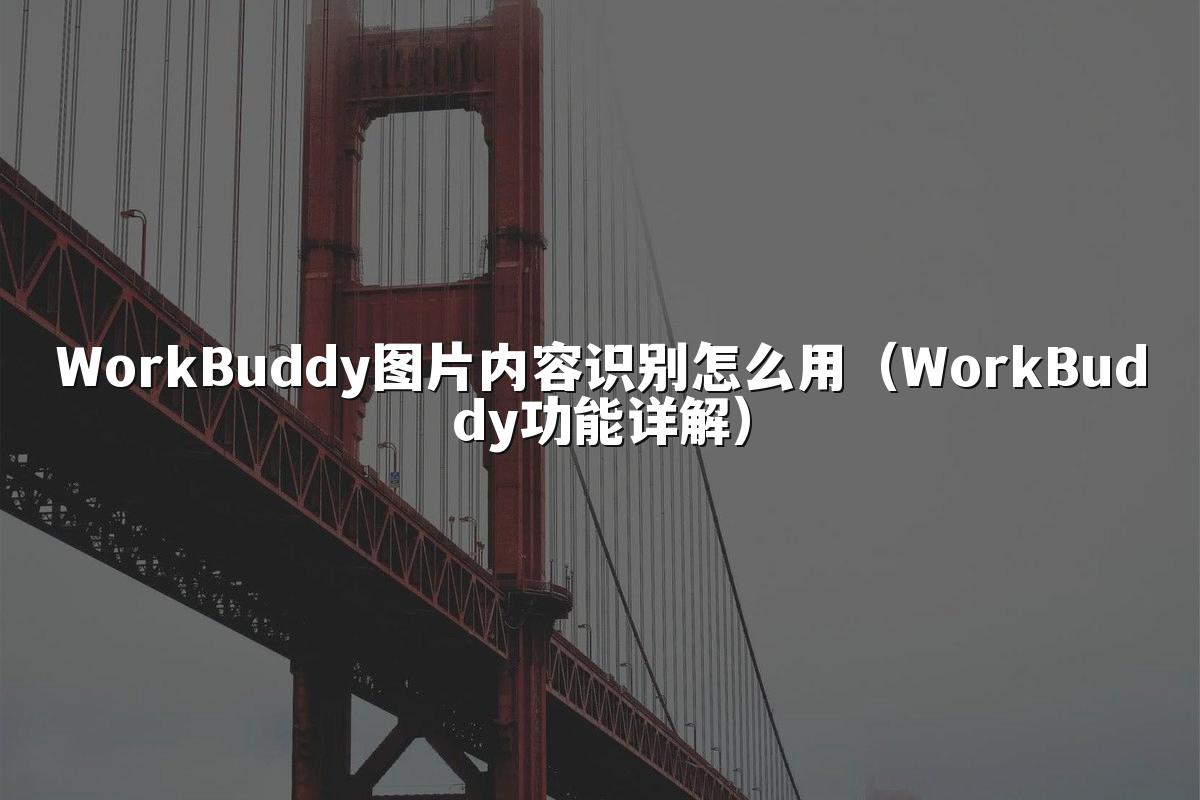 WorkBuddy图片内容识别怎么用(WorkBuddy功能详解)