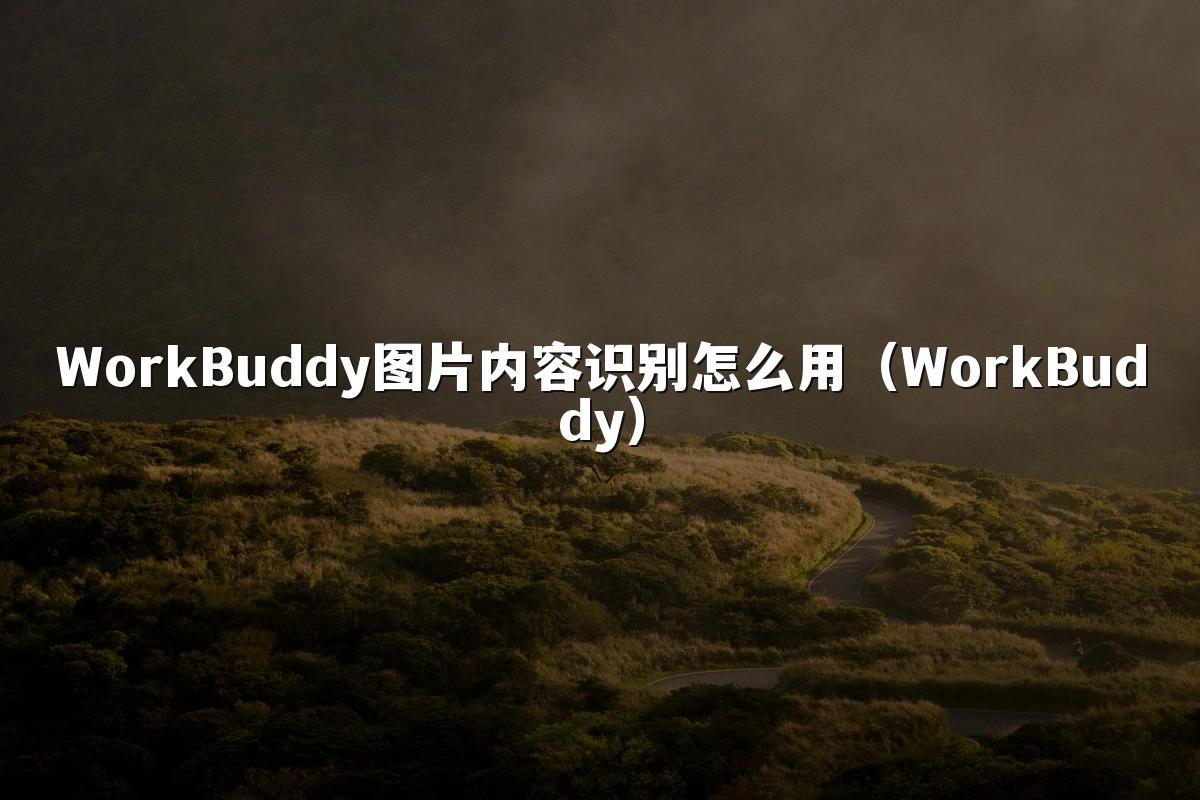 WorkBuddy图片内容识别怎么用(WorkBuddy)