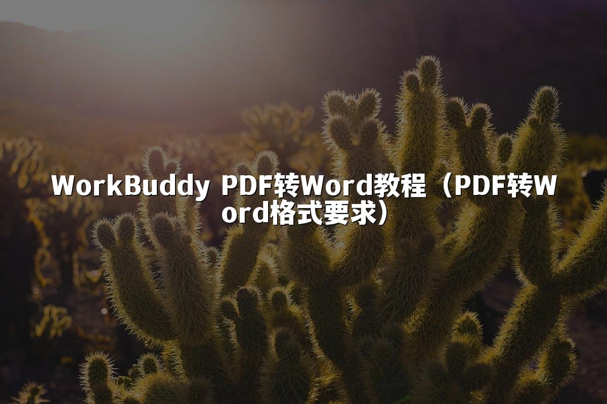 WorkBuddy PDF转Word教程(PDF转Word格式要求)