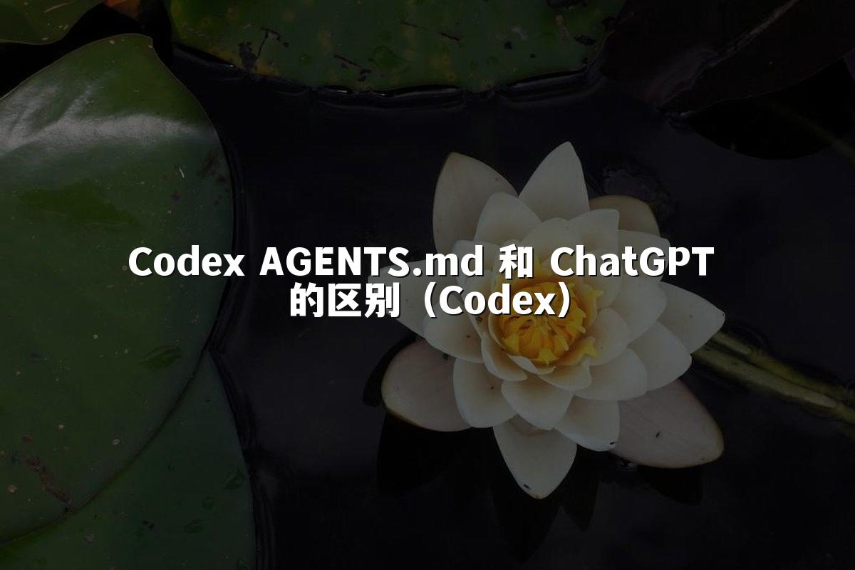 Codex AGENTS.md 和 ChatGPT 的区别(Codex)