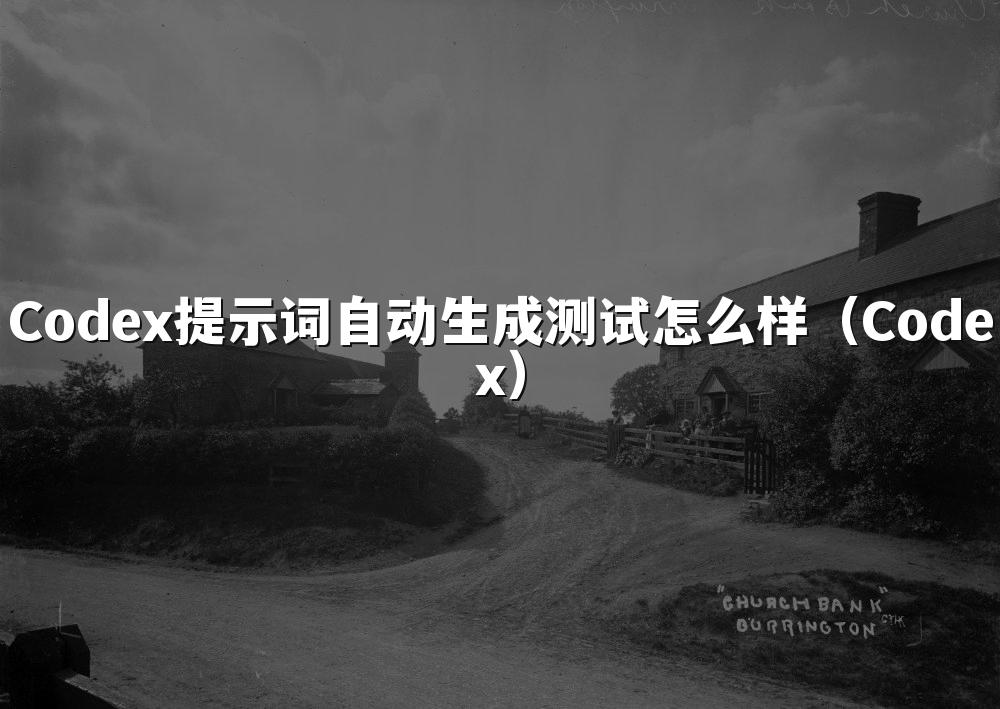 Codex提示词自动生成测试怎么样(Codex)