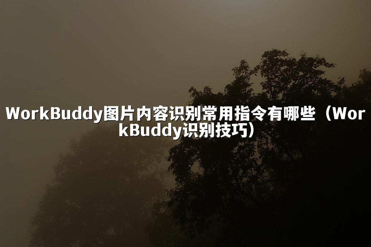 WorkBuddy图片内容识别常用指令有哪些(WorkBuddy识别技巧)