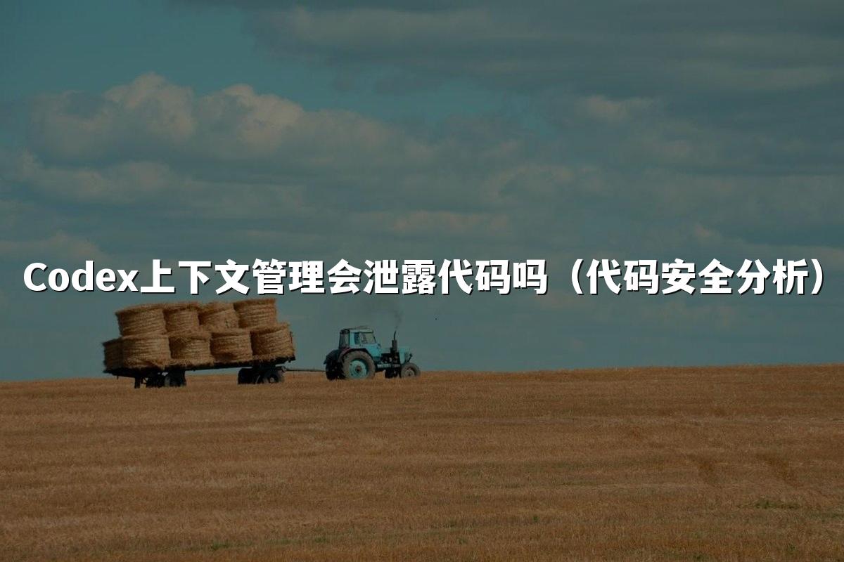Codex上下文管理会泄露代码吗(代码安全分析)