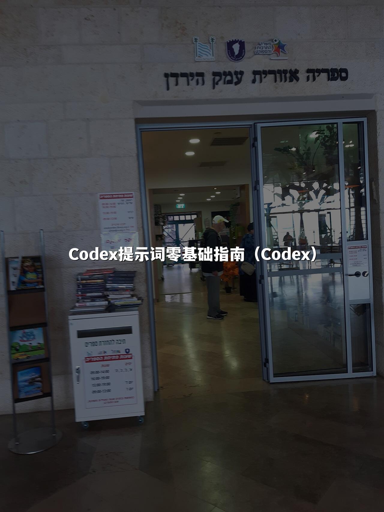 Codex提示词零基础指南(Codex)