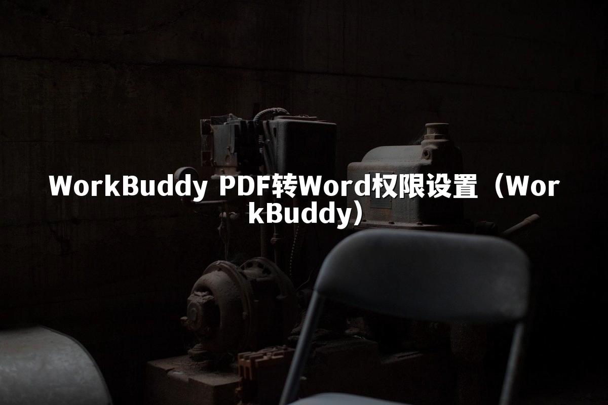 WorkBuddy PDF转Word权限设置(WorkBuddy)