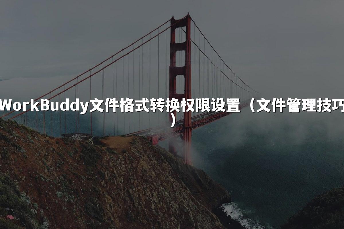 WorkBuddy文件格式转换权限设置(文件管理技巧)