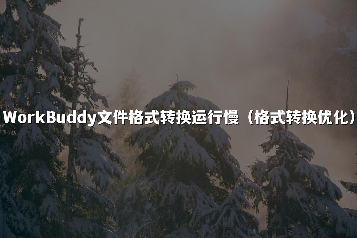 WorkBuddy文件格式转换运行慢（格式转换优化）