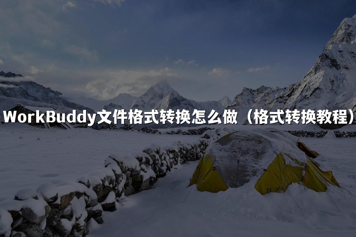WorkBuddy文件格式转换怎么做(格式转换教程)