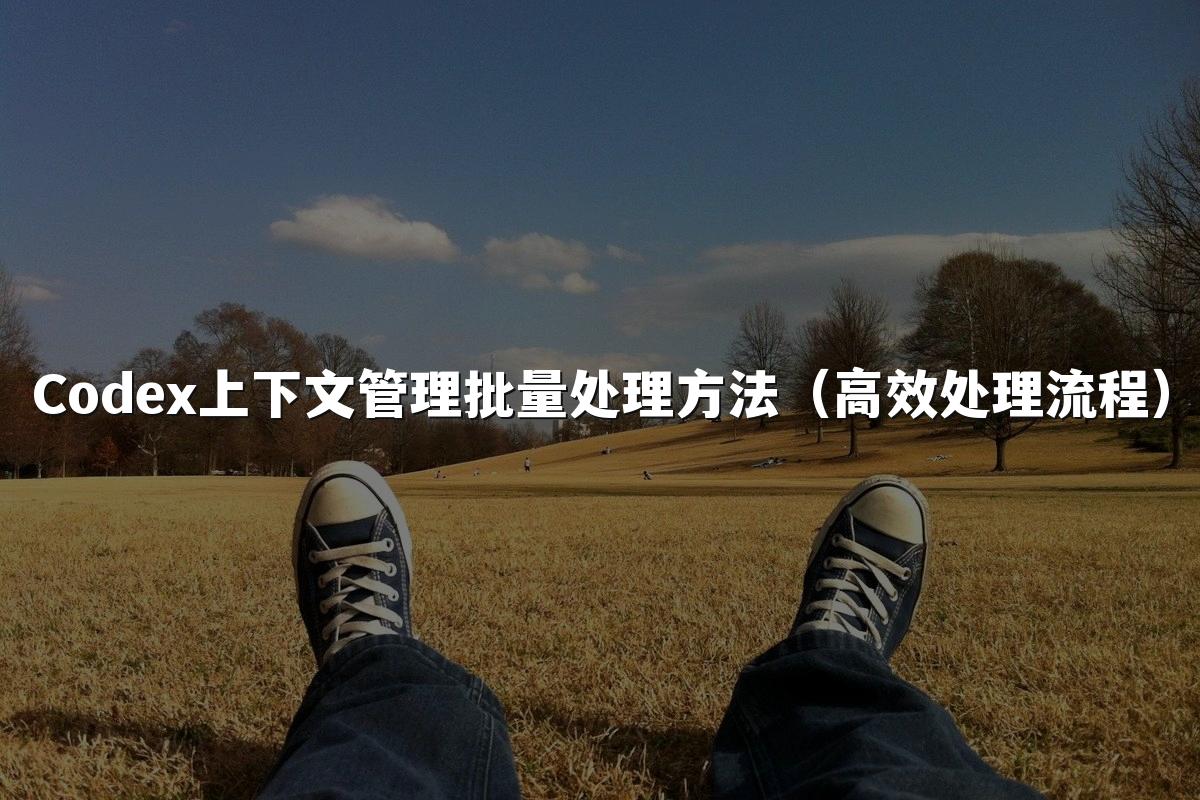 Codex上下文管理批量处理方法（高效处理流程）