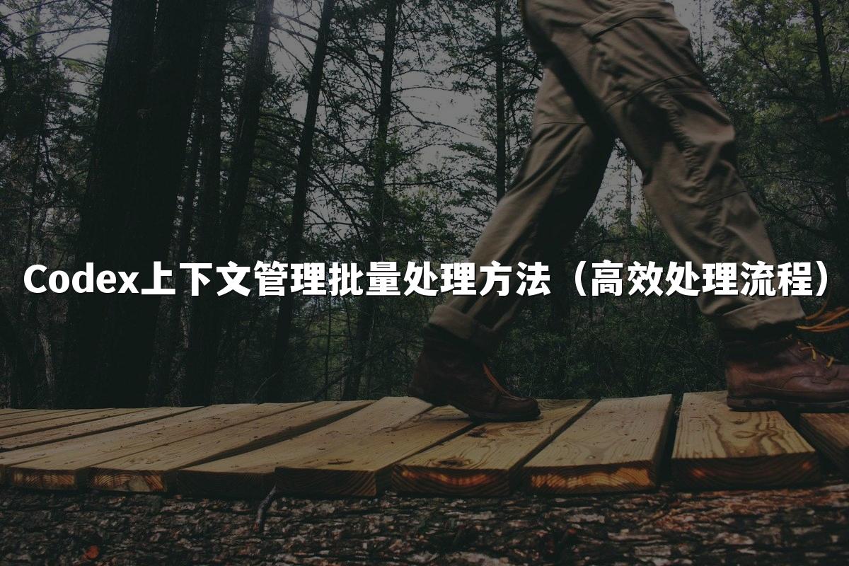 Codex上下文管理批量处理方法(高效处理流程)
