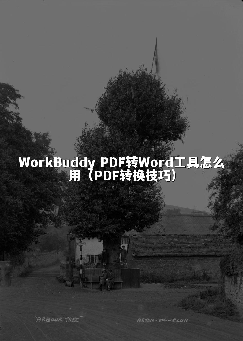 WorkBuddy PDF转Word工具怎么用(PDF转换技巧)