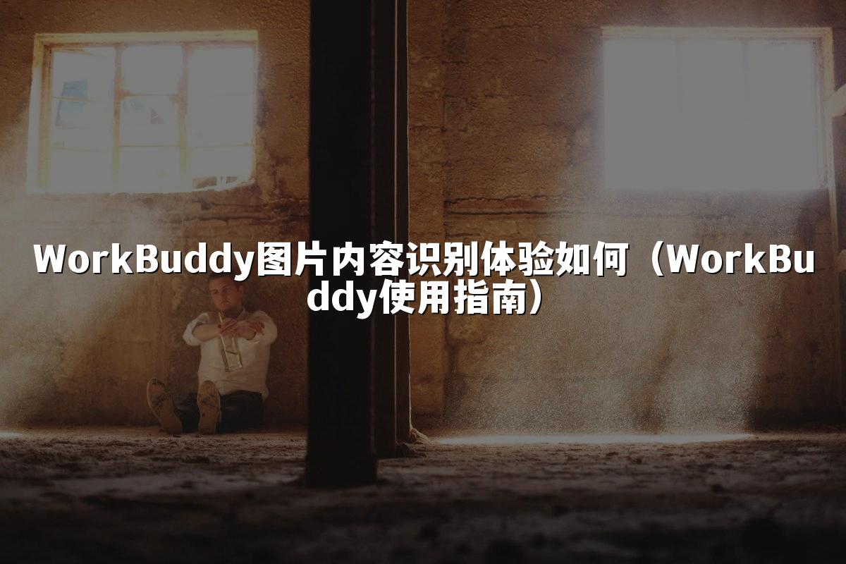 WorkBuddy图片内容识别体验如何(WorkBuddy使用指南)