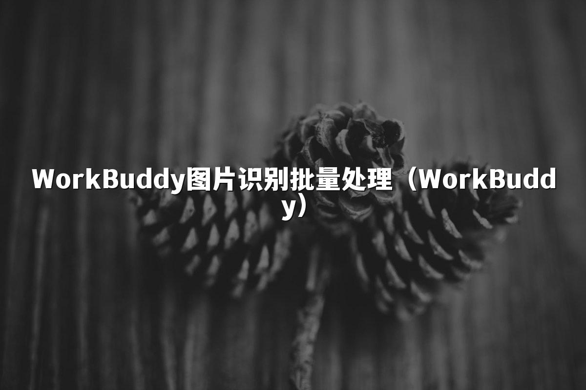 WorkBuddy图片识别批量处理(WorkBuddy)