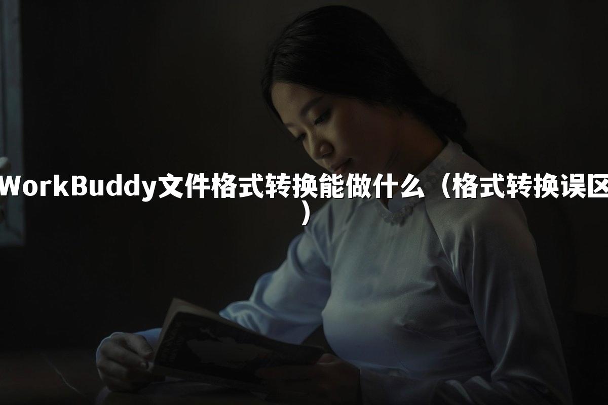 WorkBuddy文件格式转换能做什么(格式转换误区)