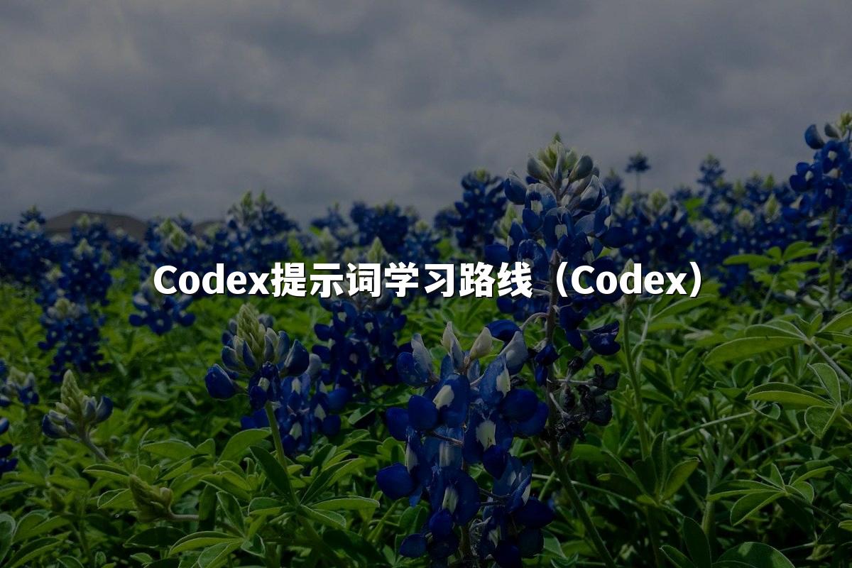 Codex提示词学习路线(Codex)