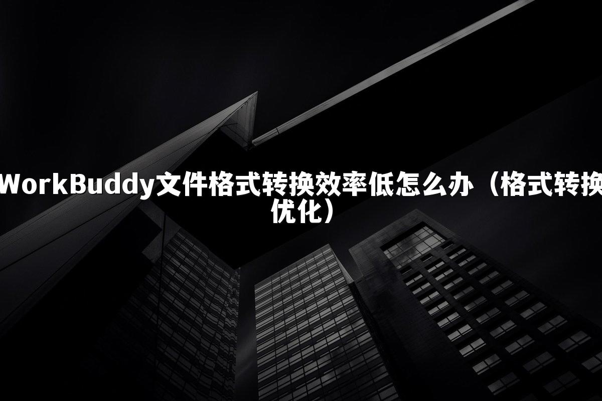 WorkBuddy文件格式转换效率低怎么办(格式转换优化)