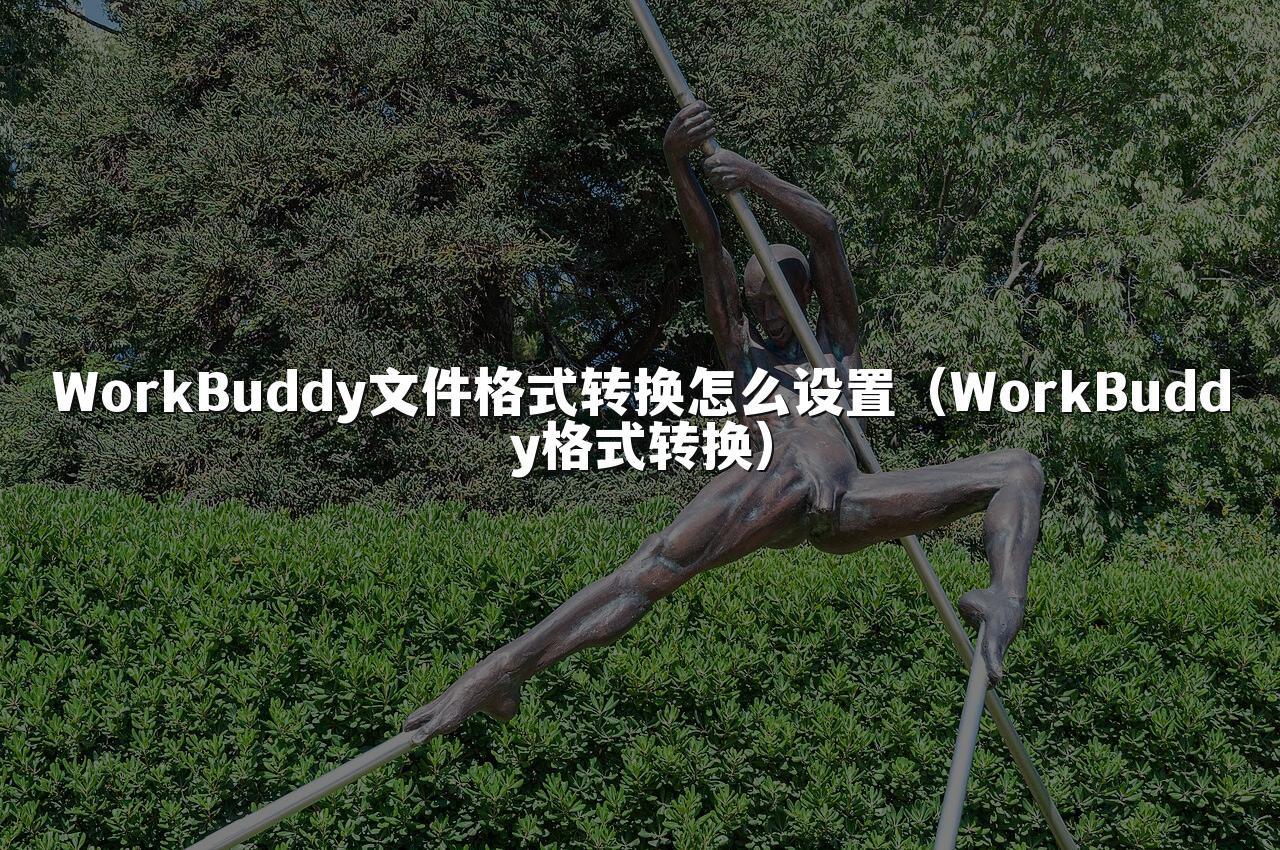 WorkBuddy文件格式转换怎么设置(WorkBuddy格式转换)