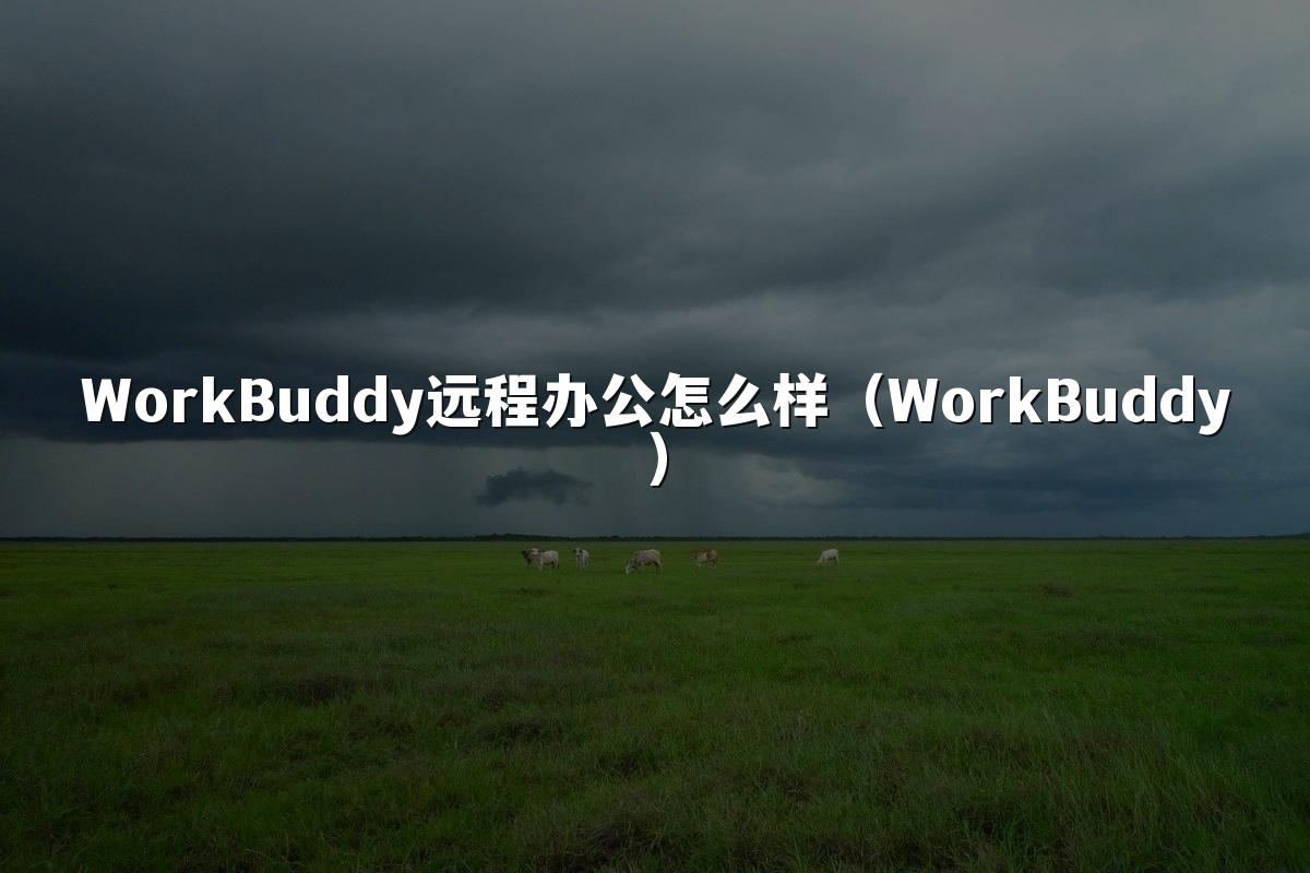 WorkBuddy远程办公怎么样(WorkBuddy)