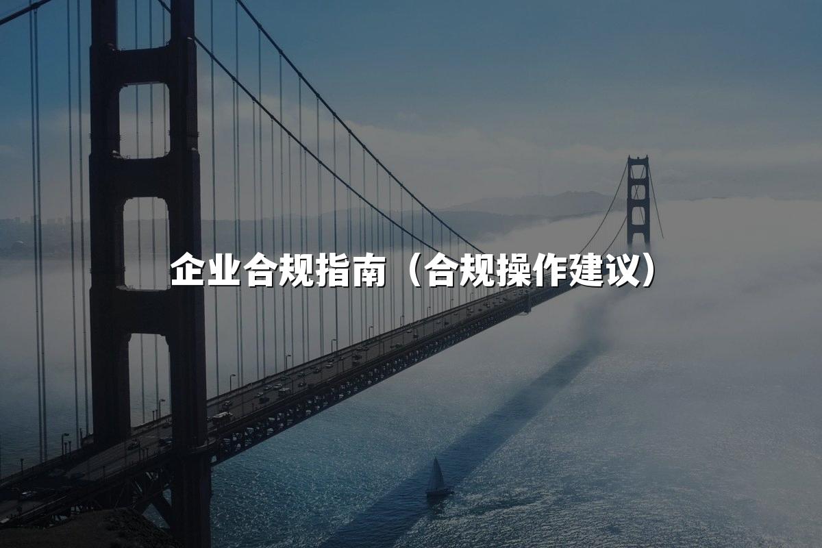 企业合规指南（合规操作建议）