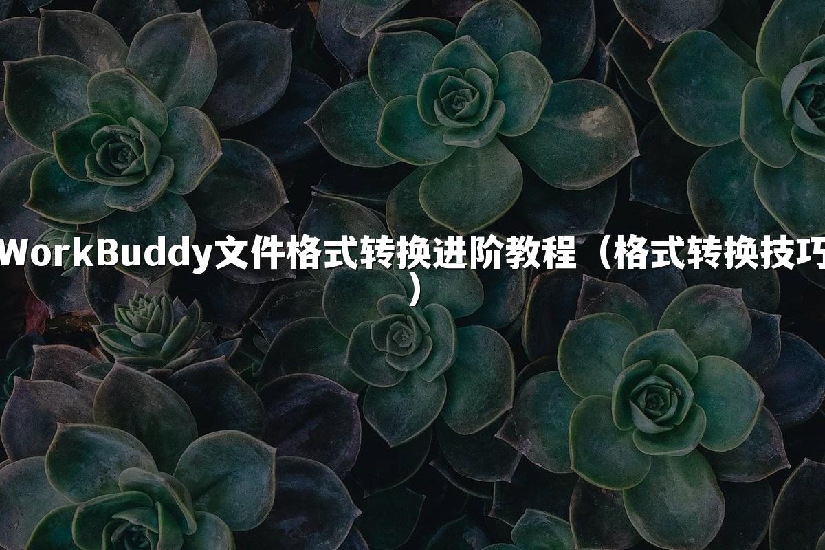 WorkBuddy文件格式转换进阶教程（格式转换技巧）