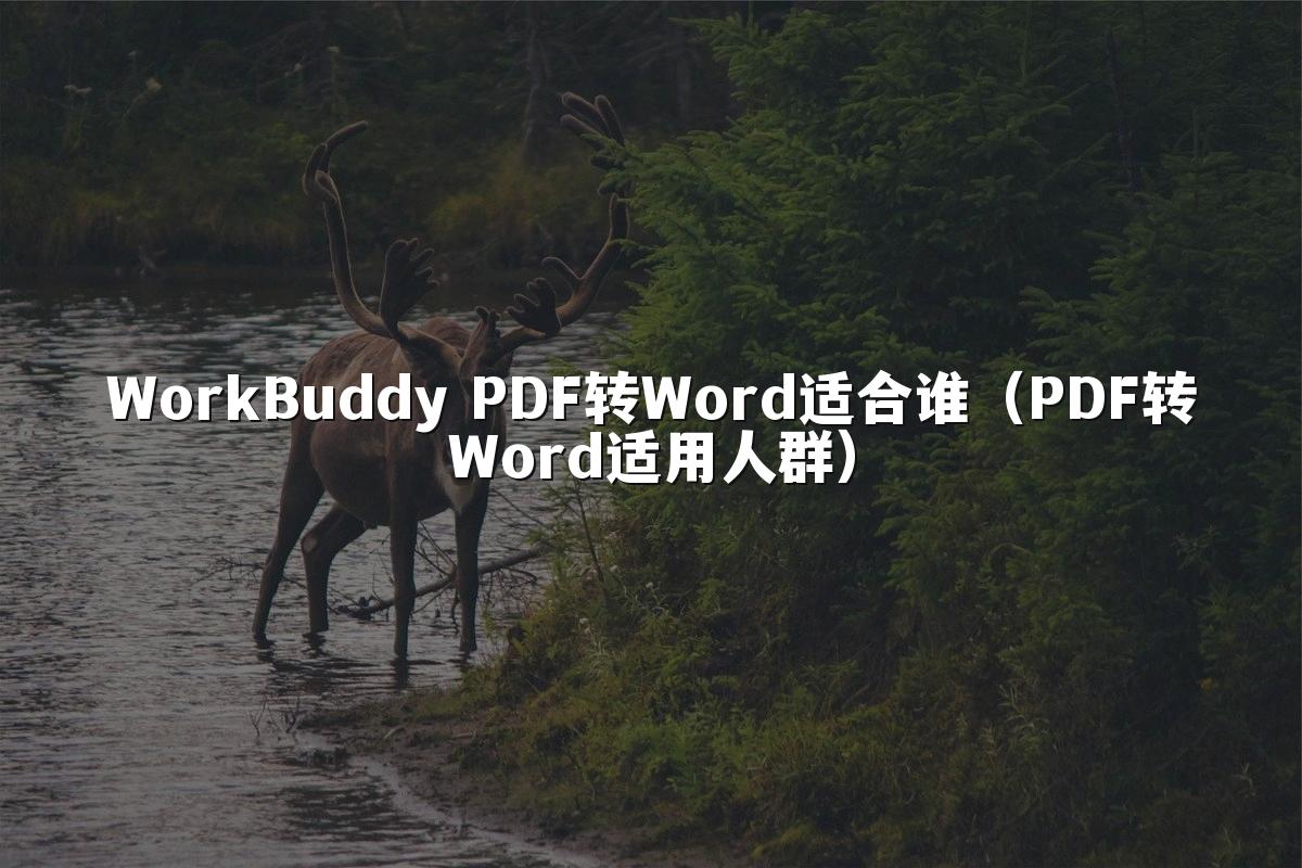 WorkBuddy PDF转Word适合谁(PDF转Word适用人群)