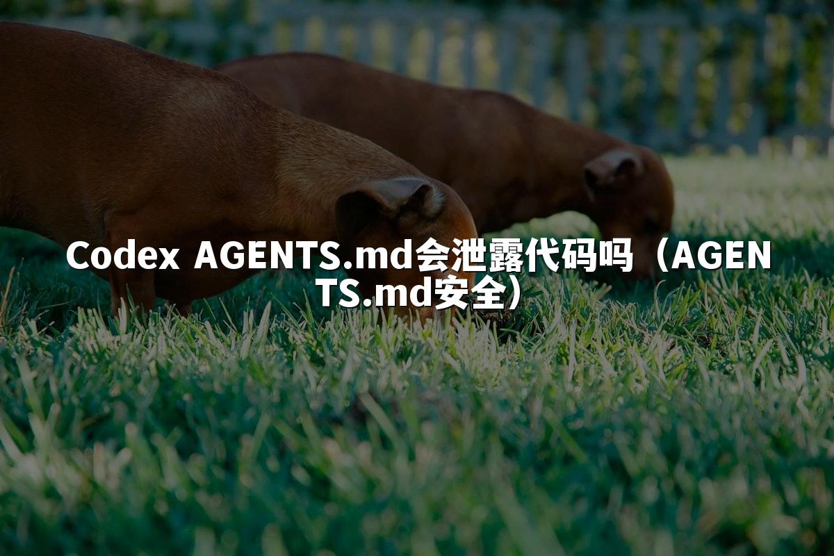 Codex AGENTS.md会泄露代码吗（AGENTS.md安全）
